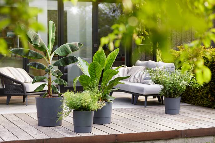 greensense aqua care rond 43cm houtskoolgrijs